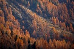 Cliquez sur la vignette pour l'agrandir