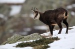 Cliquez sur la vignette pour l'agrandir