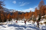 Cliquez sur la vignette pour l'agrandir