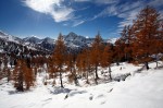 Cliquez sur la vignette pour l'agrandir