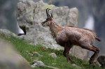 Cliquez sur la vignette pour l'agrandir