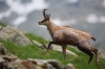 Cliquez sur la vignette pour l'agrandir