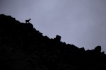 Cliquez sur la vignette pour l'agrandir