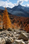 Cliquez sur la vignette pour l'agrandir