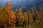 Cliquez sur la vignette pour l'agrandir