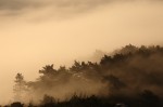 Cliquez sur la vignette pour l'agrandir