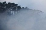 Cliquez sur la vignette pour l'agrandir